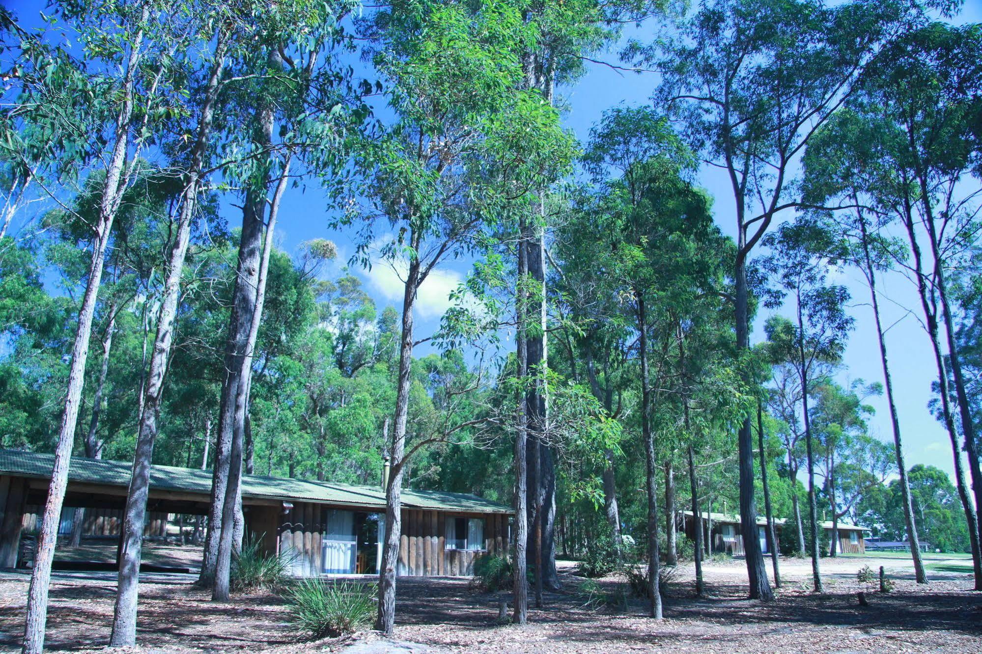 Villa Woodbine Park Eco Cabins Merimbula Exterior foto